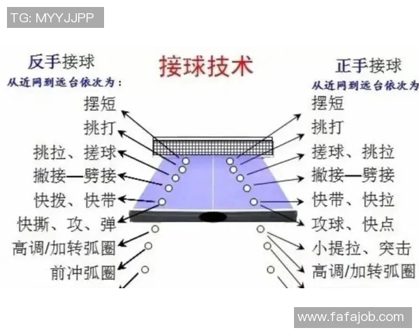 科学乒乓球战术训练方法探讨与实用技巧分享